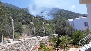 Kaş'ta orman yangını