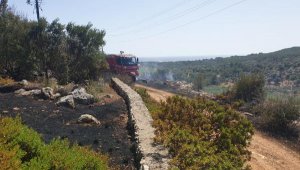 Kaş'ta ot ve zeytinlik yangını