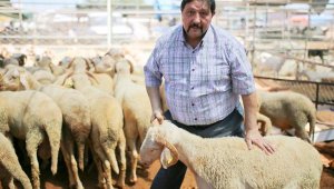 Kasaplardan markette 'mini koç' satışına tepki