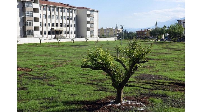 Kepez Çamlıbel'e narenciye bahçesi