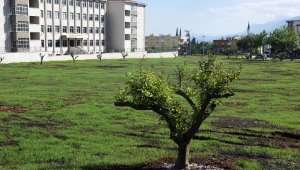 Kepez Çamlıbel'e narenciye bahçesi