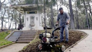 Kepez ormanlarında doğal yaşam