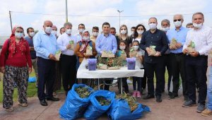 Kepez'den sera atıklarından kaliteli organik kompost