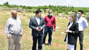 Kepez'e 'Orman çiftliği' geliyor