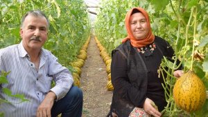 Kırkağaç kavununu, Kumluca'da serada yetiştirdi