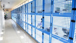 Konyaaltı'nda kedilere modern barınak