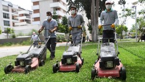 Konyaaltı'nda parklar temizlendi