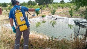 Korkuteli'de sinekle mücadele