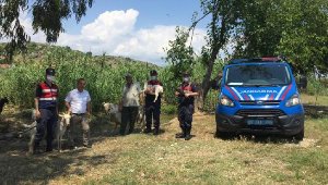 Küçükbaş hayvan hırsızları kameradan tespit edilip yakalandı