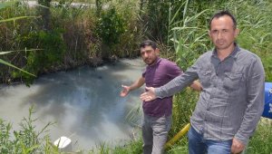 Mahallelinin dereye bırakılan atık su tepkisi