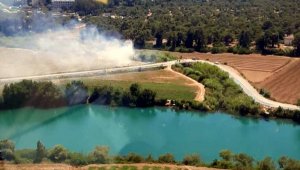 Manavgat'ta orman yangını