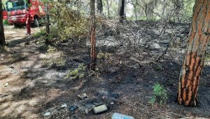 Mangal yaparken ormanı yaktı