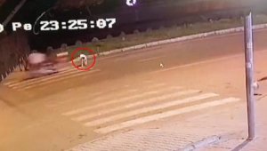 Motosikletin yaya geçidinde çarptığı köpek öldü, sürücü yaralandı