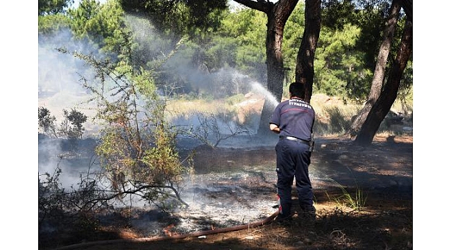 Ormanlık alanda çıkan yangın, büyümeden söndürüldü