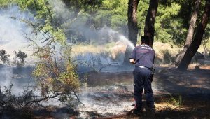 Ormanlık alanda çıkan yangın, büyümeden söndürüldü