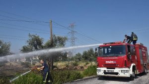 Otluk ve çalılık alanda yangın