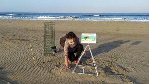 Patara'da 116 caretta caretta yuvası tespit edildi