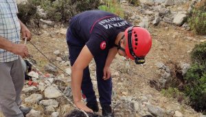 Sarnıca düşen kuzuya, 3 saatlik kurtarma operasyonu