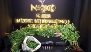 Seraya uyuşturucu baskını