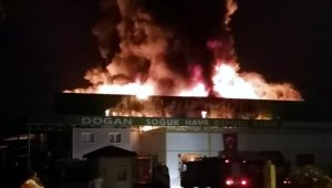 Serik'te soğuk hava deposunda yangın