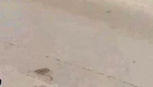 Seyir halindeki motosiklet, alev alev yandı