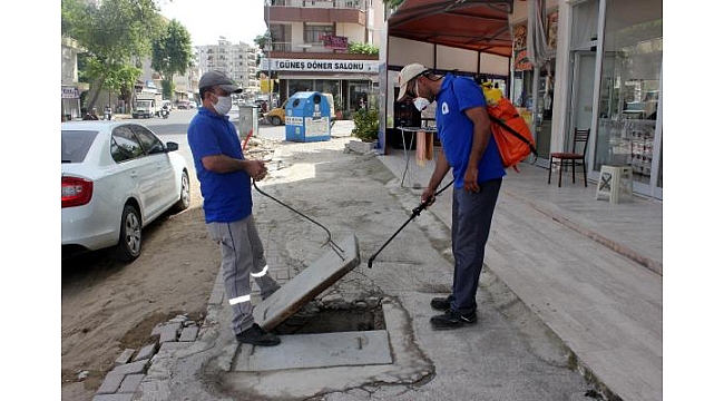 Sinekle yoğun mücadele sürüyor