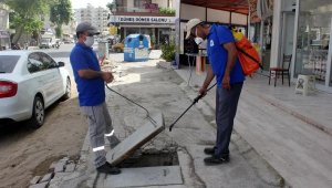 Sinekle yoğun mücadele sürüyor