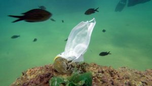 Su altında 'maske ve eldiven' kirliliği