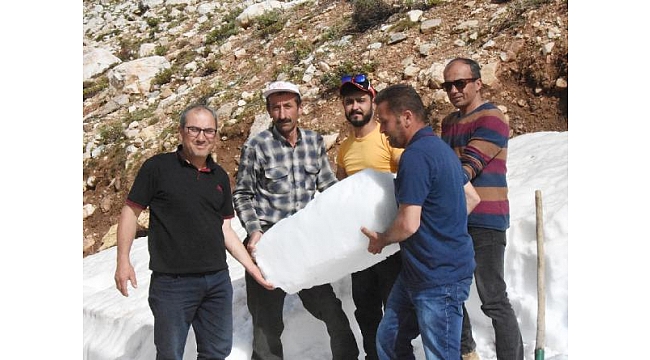 Torosların karı, serinlik ve geçim kaynağı