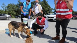 Tütüncü'den Kepez'e hayvan hastanesi müjdesi