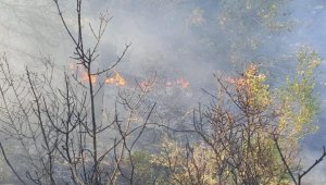 Yangında 2 dönüm makilik zarar gördü