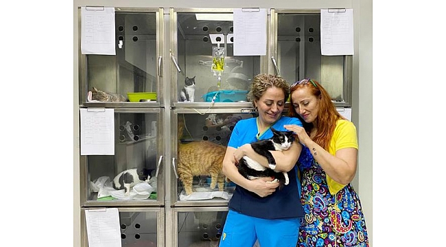 Yaralı ayağına doku ve kemik nakli yapılan kedi 'Muğla', yaşama tutundu