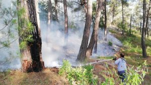 Yıldırım, orman yangını çıkardı
