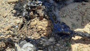 Zifte yapışan oğlağı vatandaşlar kurtardı