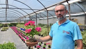 5 yıldır süs bitkisi üretiyor