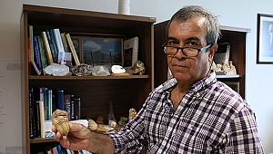 500 milyon yaşında iki fosil bulundu