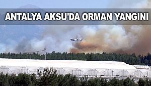 Antalya Aksu'da orman yangını