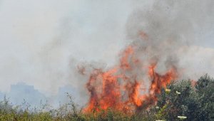 Antalya'da çalı ve makilik yangını; 10 dönüm alan kül oldu