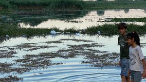 Antalya'nın doğal güzelliği Kırkgöz'de çöp kirliliği