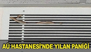 AÜ Hastanesi'nde yılan paniği