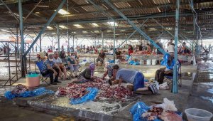 Büyükler kurban kesti, çocuklar izledi