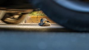 Çarptığı yaya ölünce önce kaçtı, sonra teslim oldu