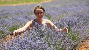 Elmalı'da lavanta şöleni