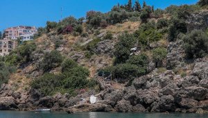 Falezkondu kirliliği geri döndü