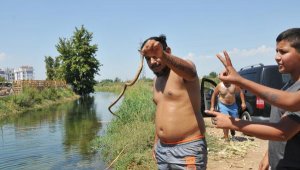 Kanalda yılanlara aldırmadan yüzüyorlar