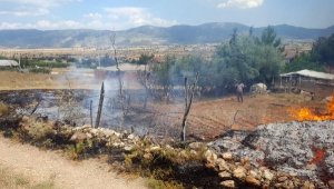 Kargalar yangın çıkardı