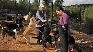 Kaş'a modern hayvan bakımevi
