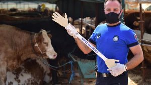 Kepez Belediyesi'nden kurban pazarlarına özel 'pazarlık kiti'