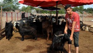 Kepez'in kurban satış yerleri belirlendi
