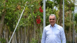 Konyaaltı 6 ayda 110 bin bitki üretti